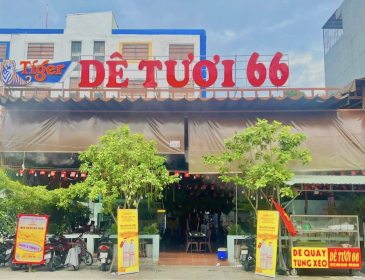 Dê Tươi 66