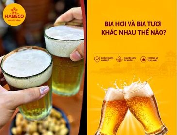Bia Hơi Và Bia Tươi Khác Nhau Thế Nào? Cách Chọn Theo Mô Hình Kinh Doanh