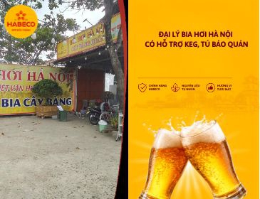 Đại Lý Bia Hơi Hà Nội Có Hỗ Trợ Keg, Tủ Bảo Quản Và Vật Dụng Cho Nhà Hàng Không?